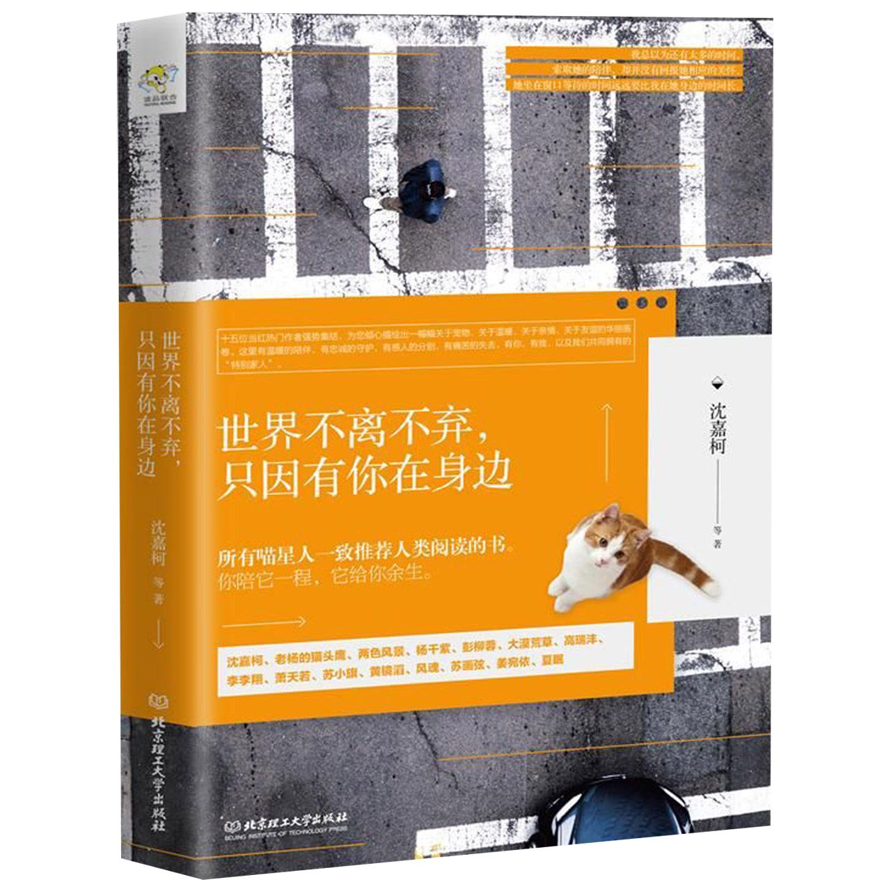 世界不离不弃只因有你在身边