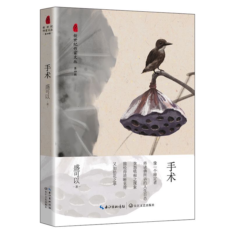 手术/新世纪作家文丛