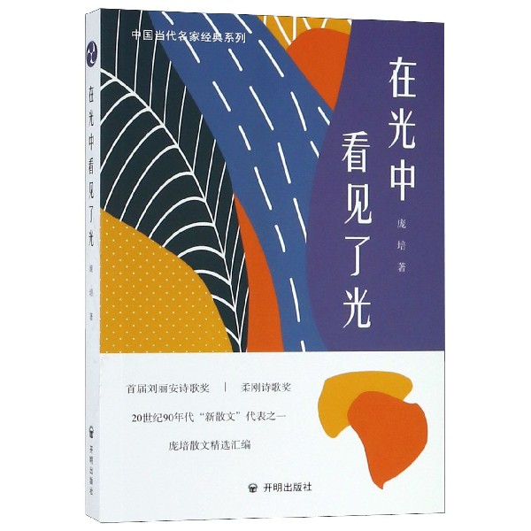 在光中看见了光/中国当代名家经典系列