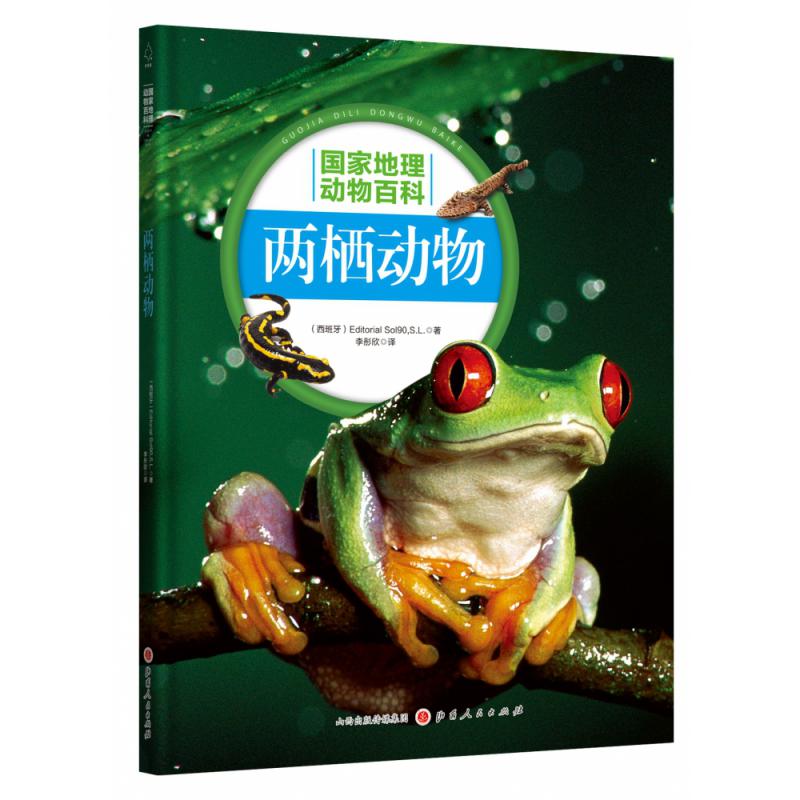 两栖动物
