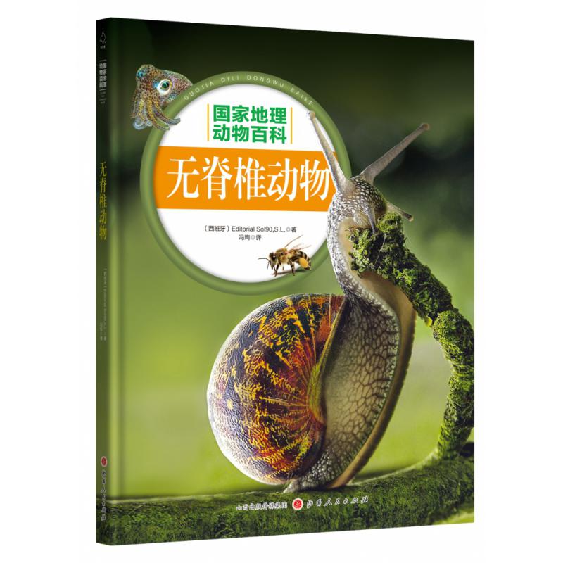 无脊椎动物