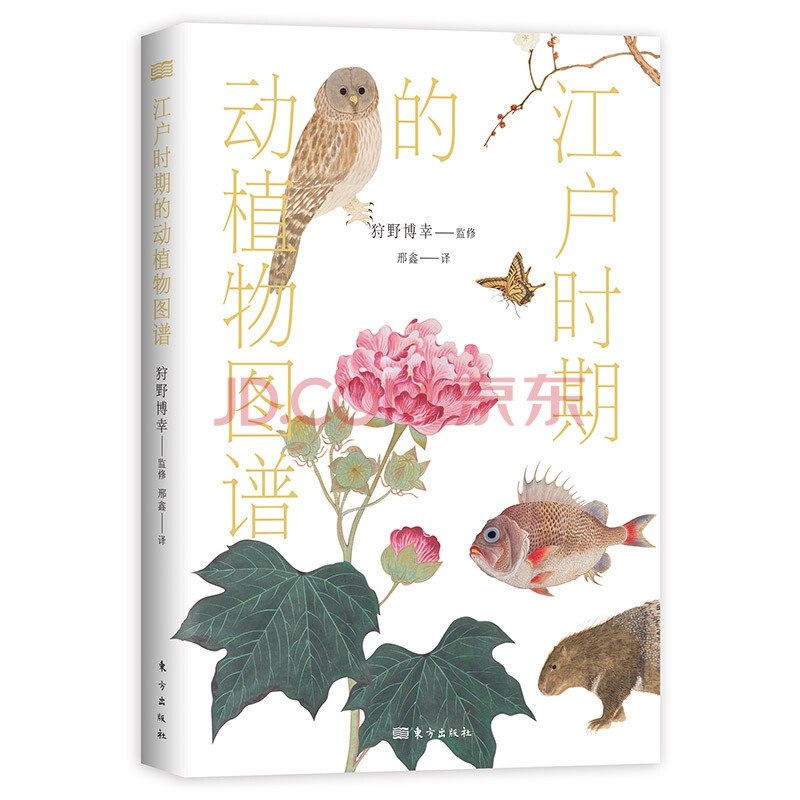 江户时期的动植物图谱