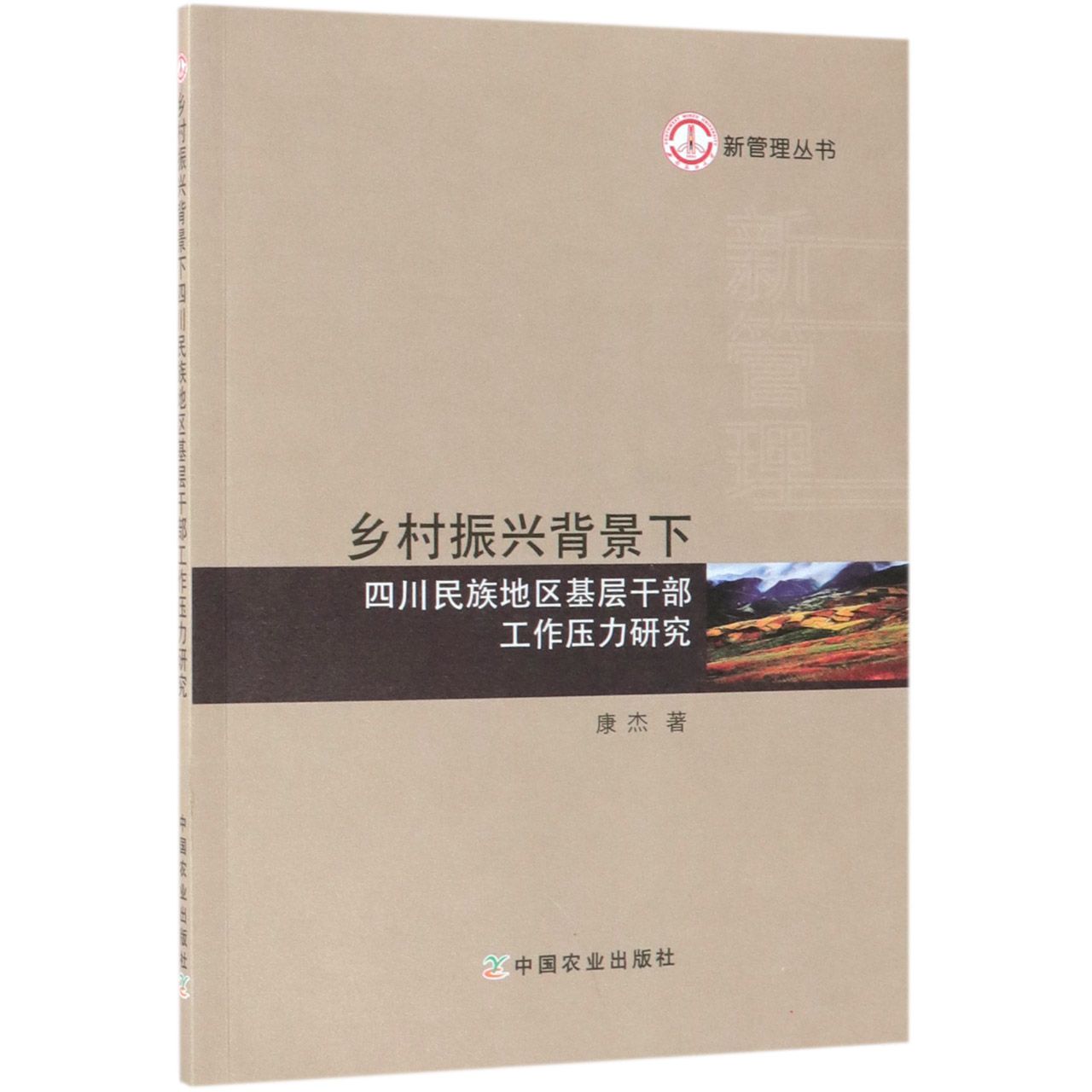 乡村振兴背景下四川民族地区基层干部工作压力研究/新管理丛书