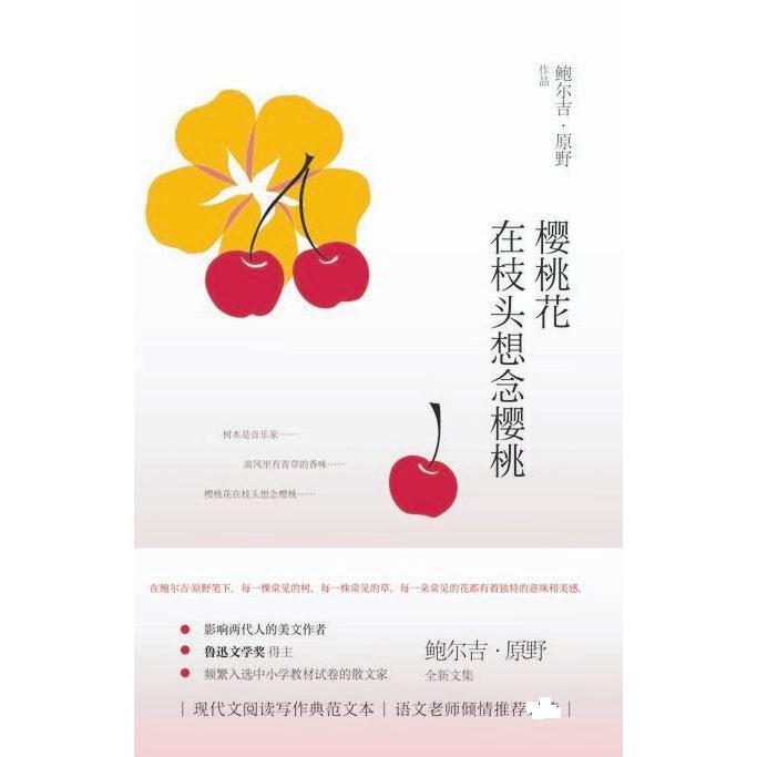 樱桃花在枝头想念樱桃