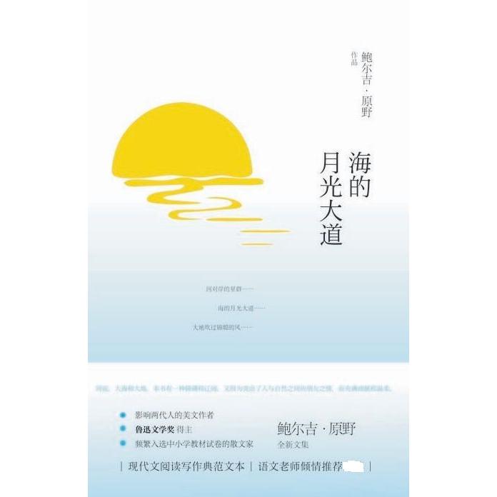 海的月光大道