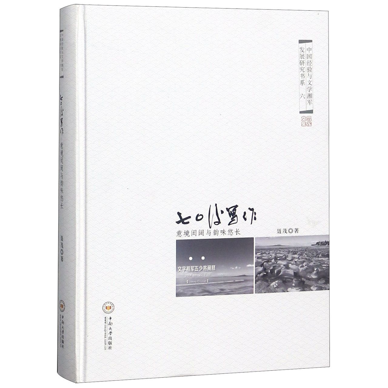 70后写作(意境闳阔与韵味悠长)(精)/中国经验与文学湘军发展研究书系