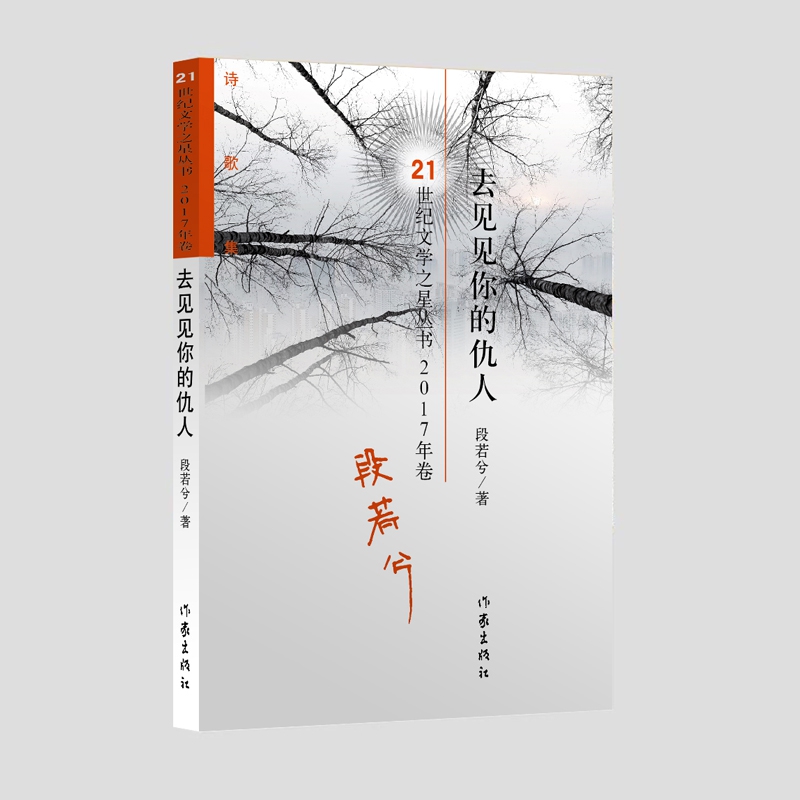 去见见你的仇人/21世纪文学之星丛书