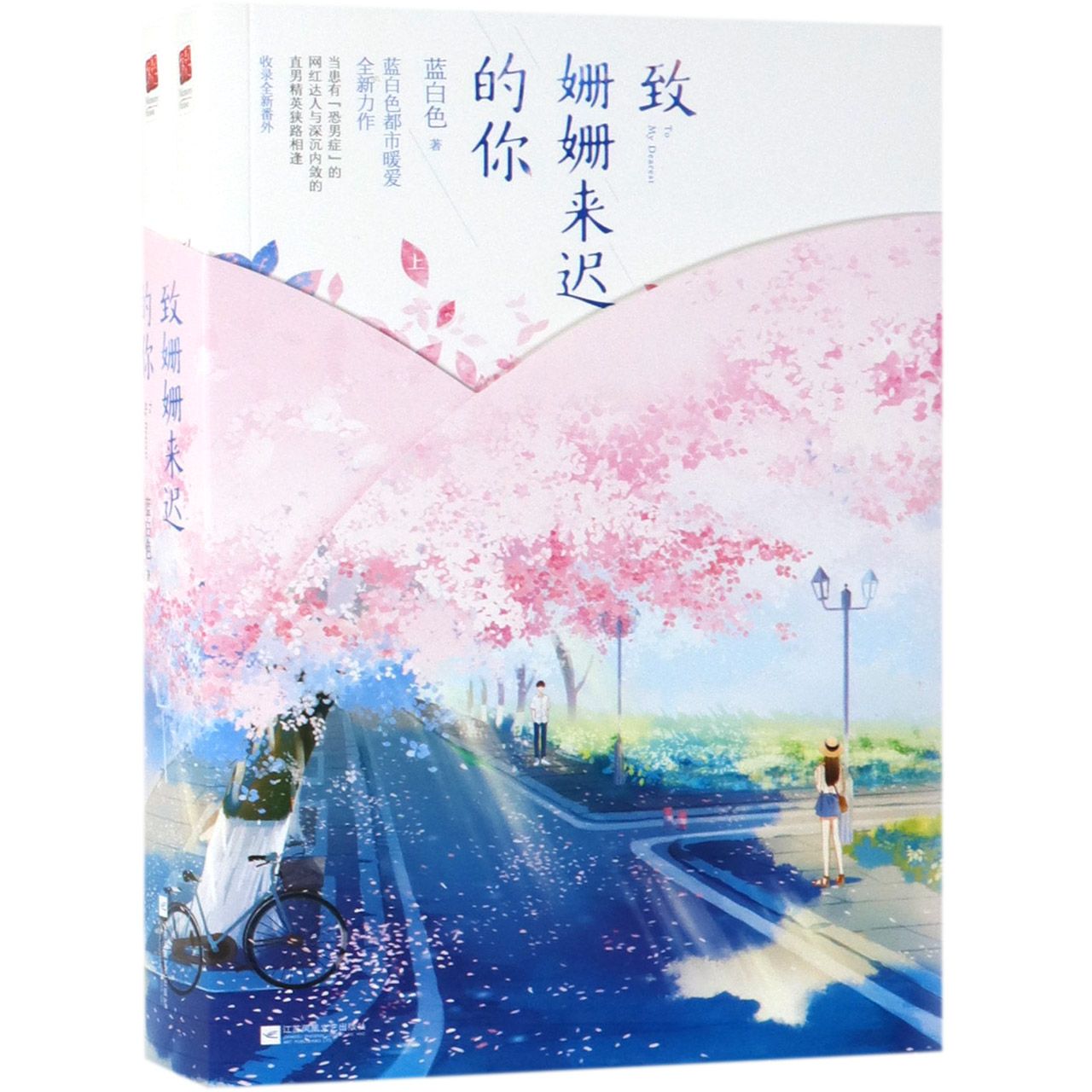 致姗姗来迟的你(上下)
