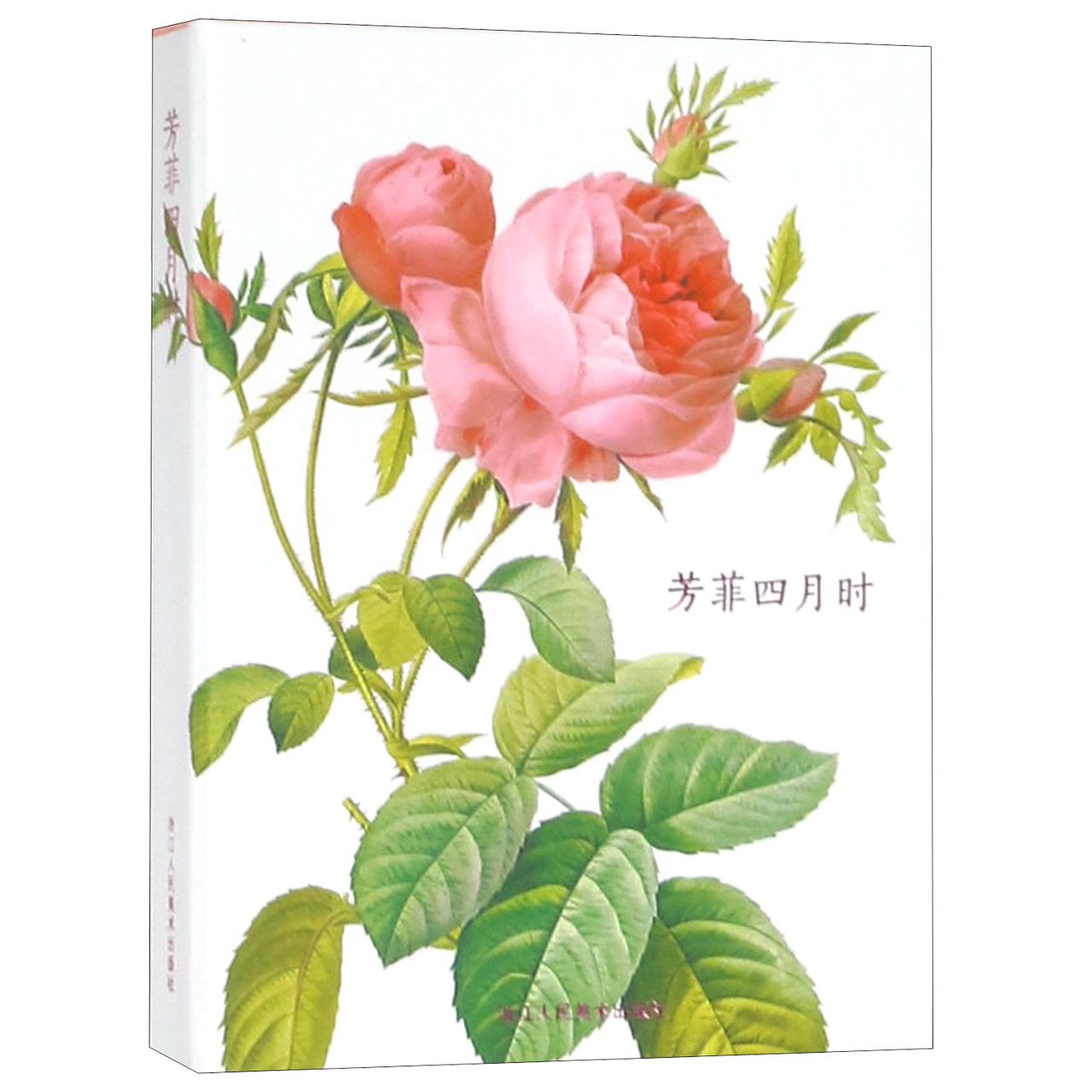 芳菲四月时(明信片)(精)