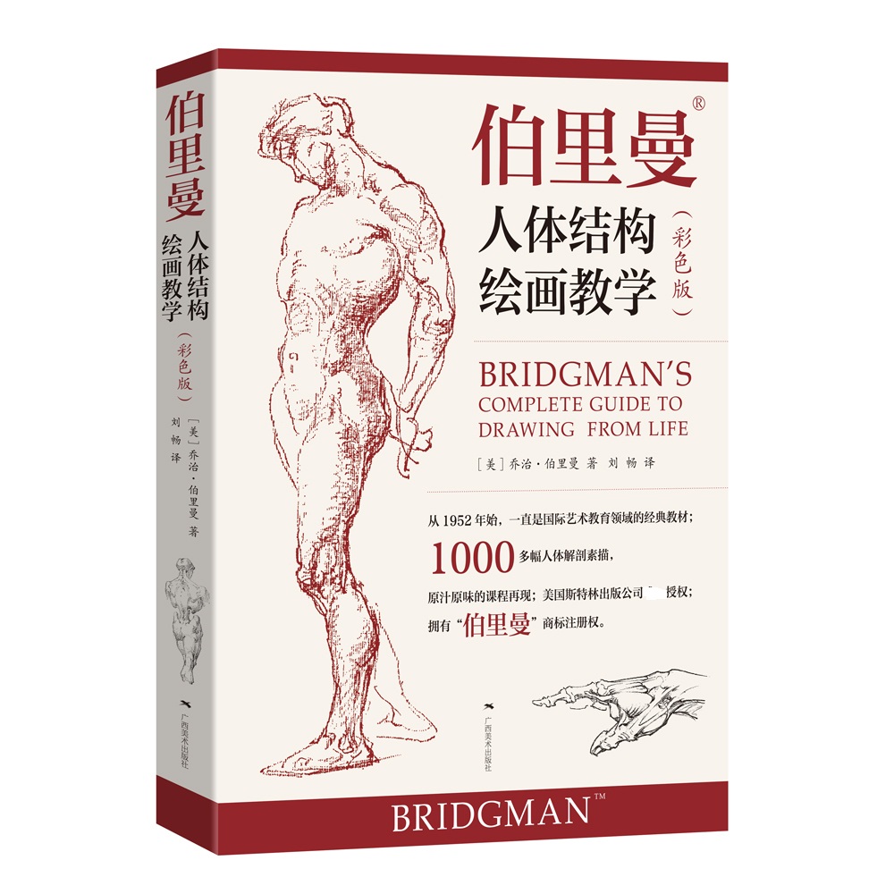 伯里曼人体结构绘画教学(彩色版)