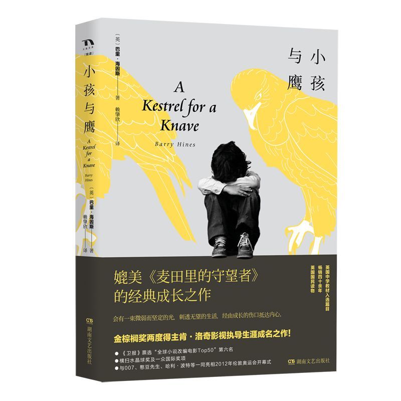 小孩与鹰