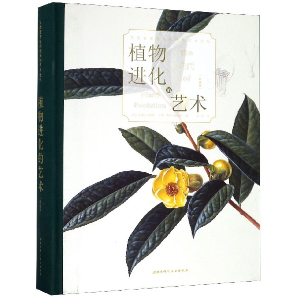植物进化的艺术(典藏版)(精)