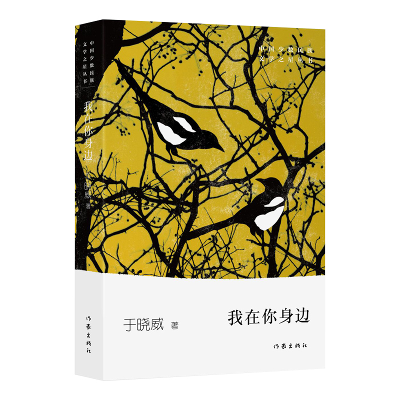 我在你身边/中国少数民族文学之星丛书