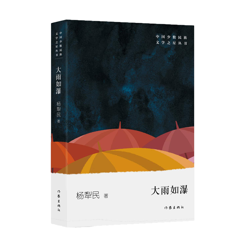 大雨如瀑/中国少数民族文学之星丛书