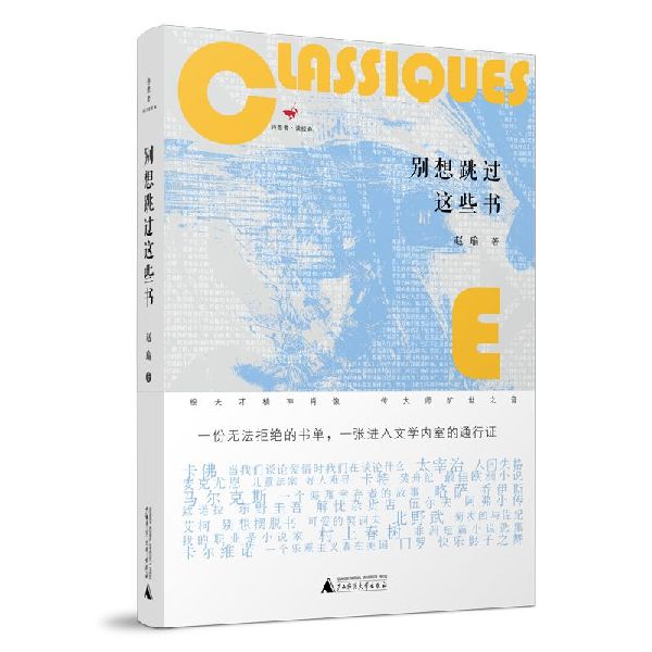 别想跳过这些书(精)/诗想者读经典