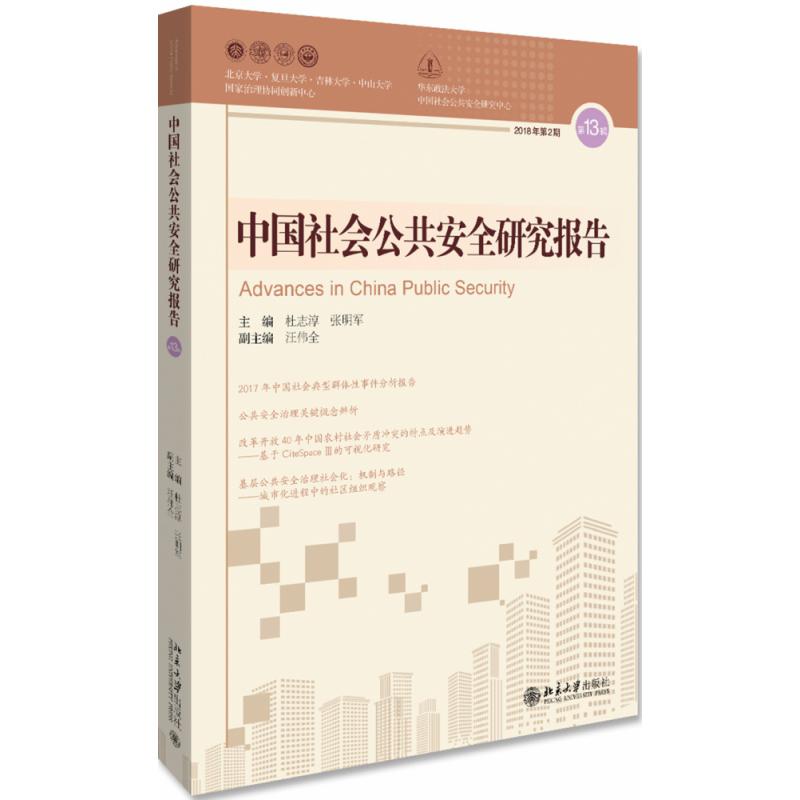 中国社会公共安全研究报告 第13辑
