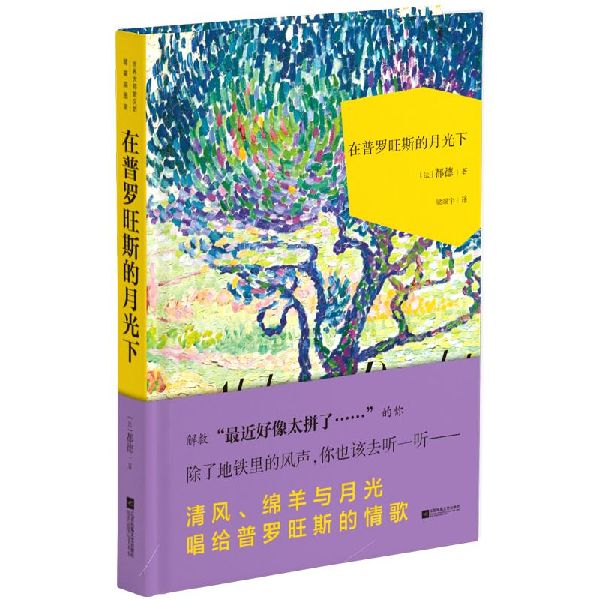 在普罗旺斯的月光下(精)