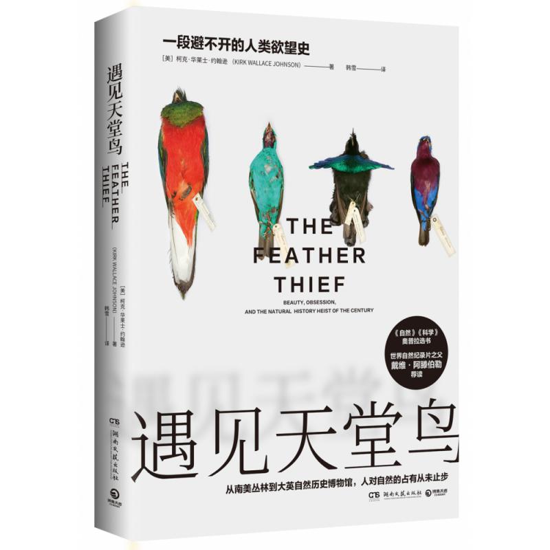 遇见天堂鸟