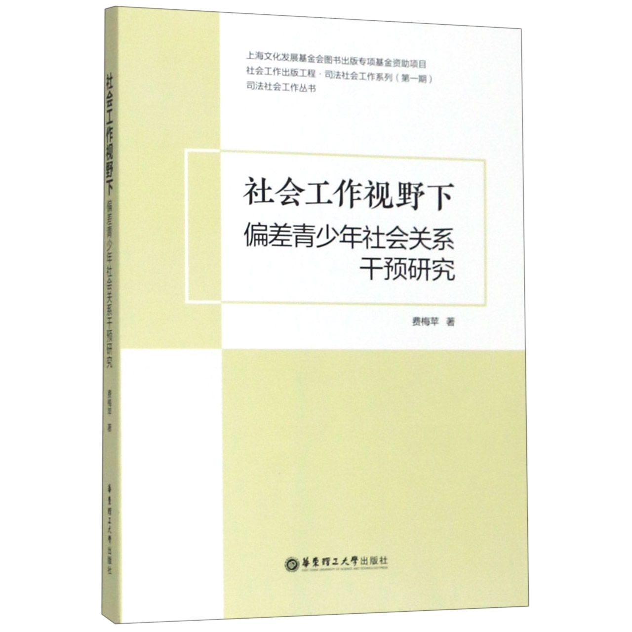 社会工作视野下偏差青少年社会关系干预研究/司法社会工作丛书