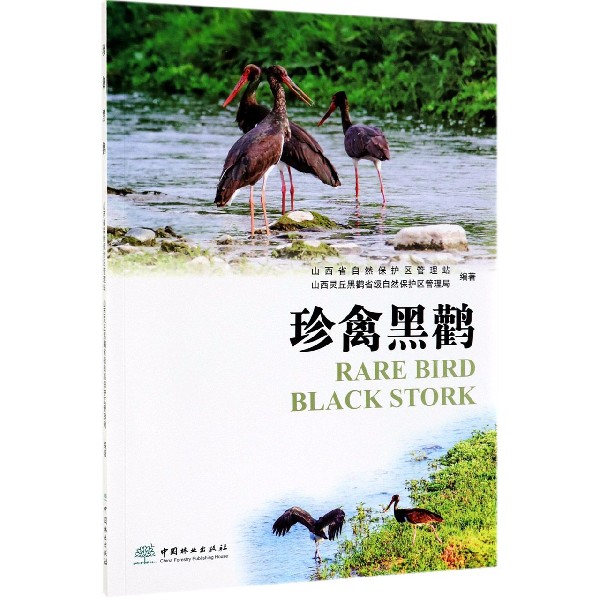 珍禽黑鹳