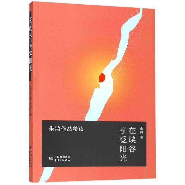 在峡谷享受阳光(朱鸿作品精读)