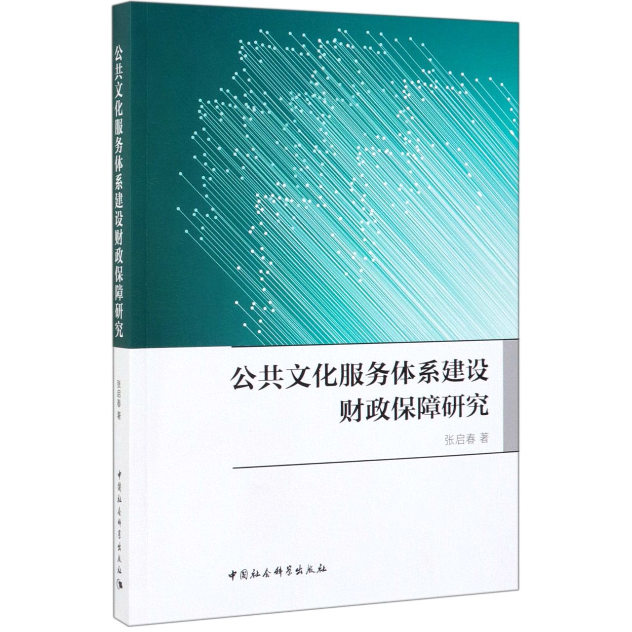 公共文化服务体系建设财政保障研究