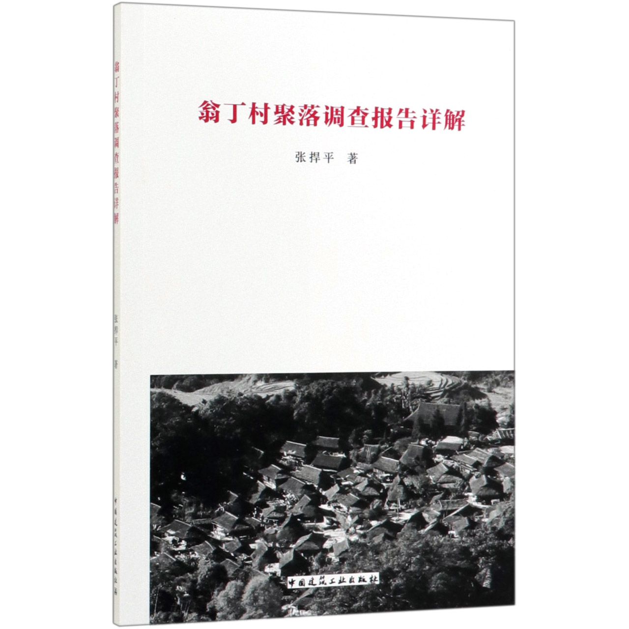 翁丁村聚落调查报告详解