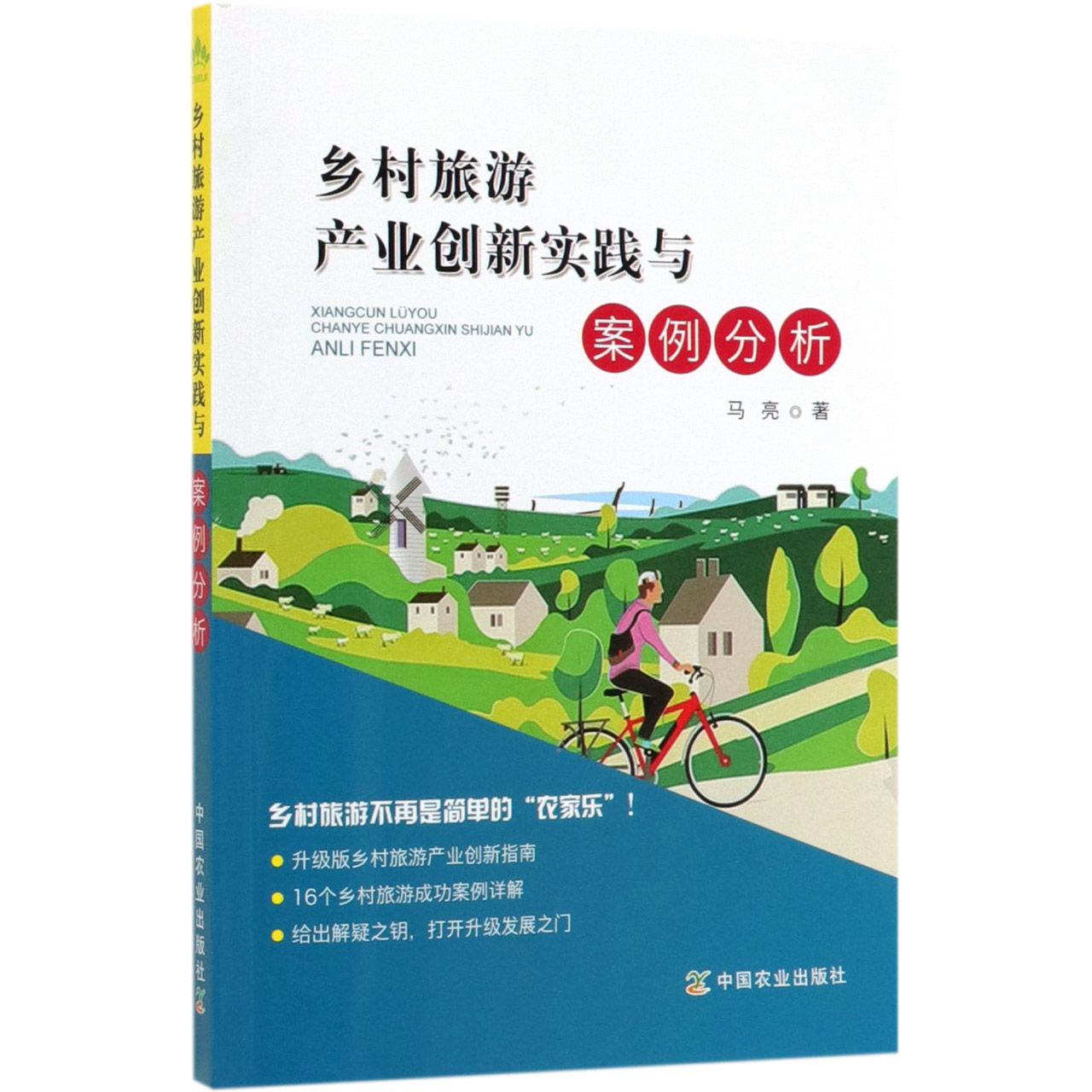 乡村旅游产业创新实践与案例分析
