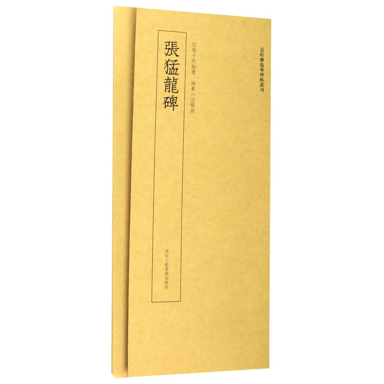 张猛龙碑/近距离临摹碑帖丛刊