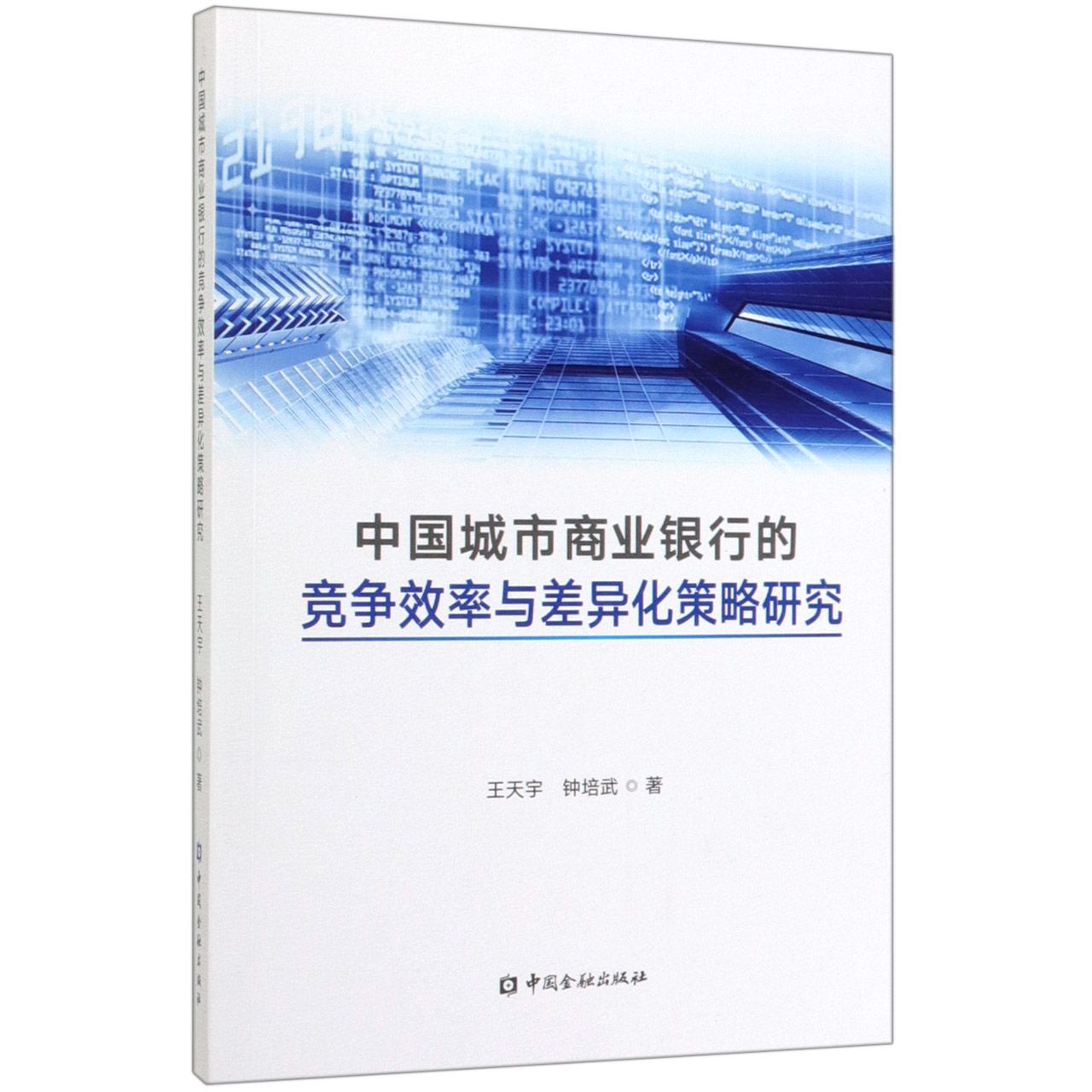 中国城市商业银行的竞争效率与差异化策略研究