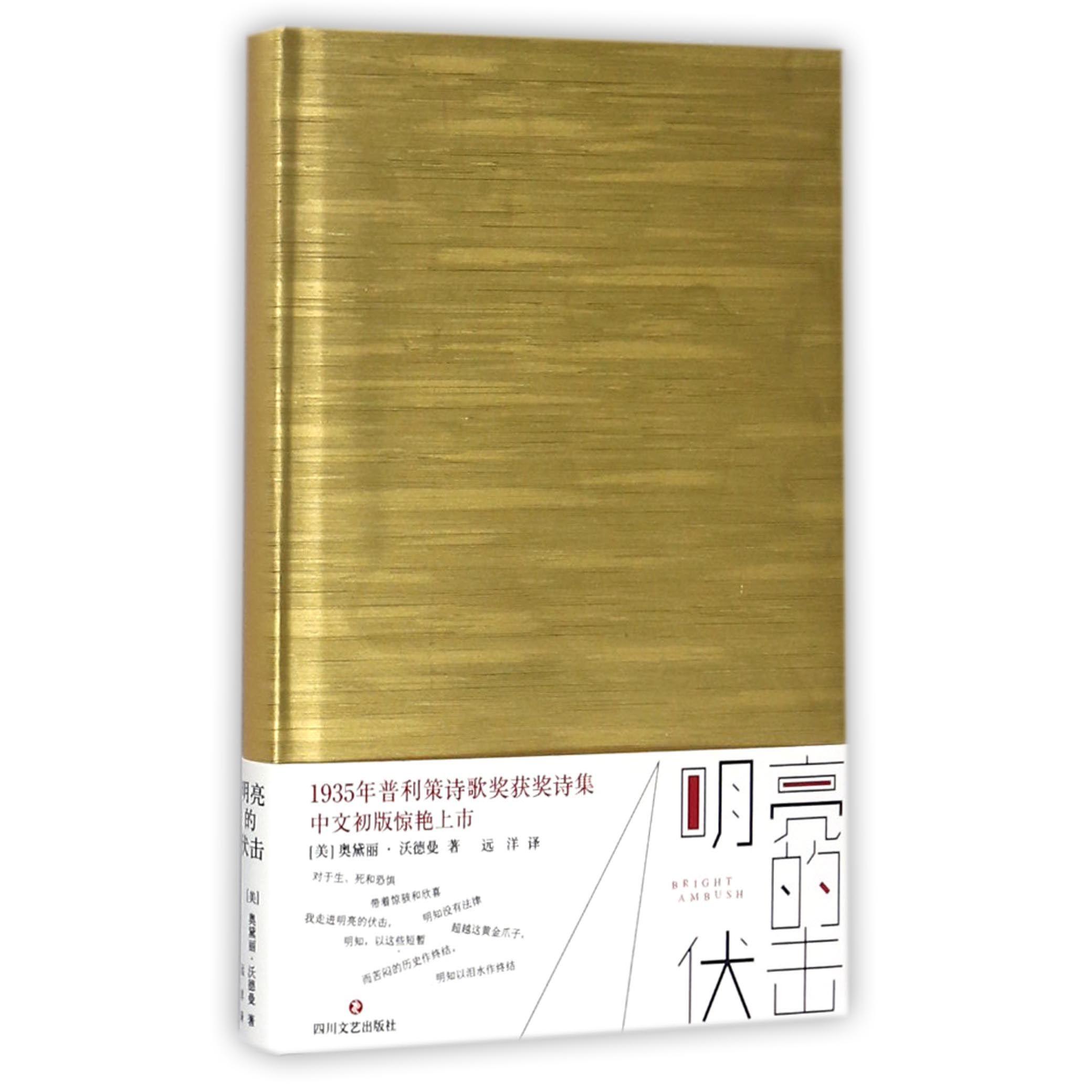明亮的伏击(精)