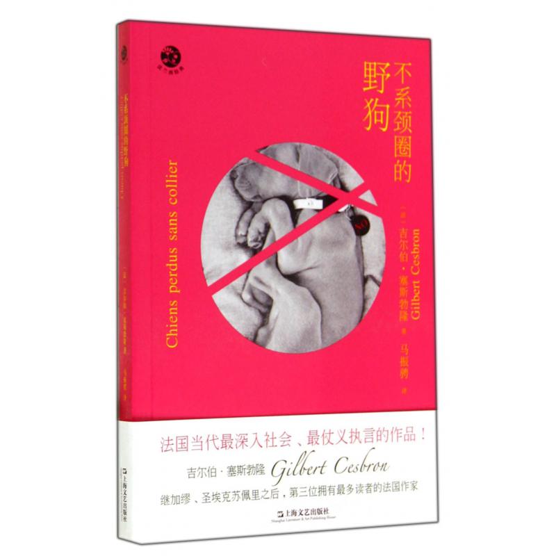 不系颈圈的野狗