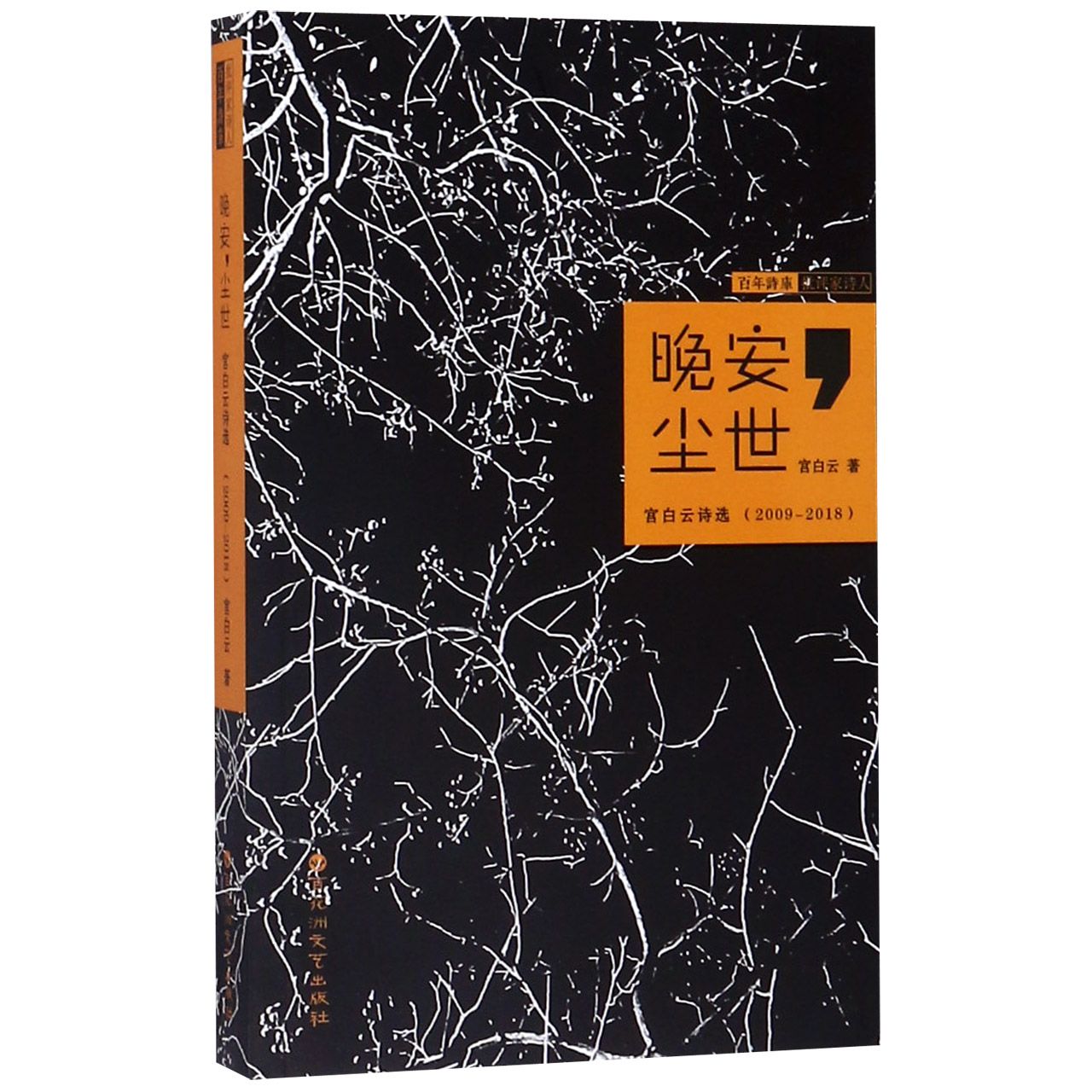 晚安尘世(宫白云诗选2009-2018)/百年诗库