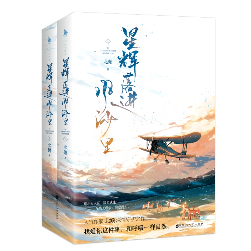 星辉落进风沙里