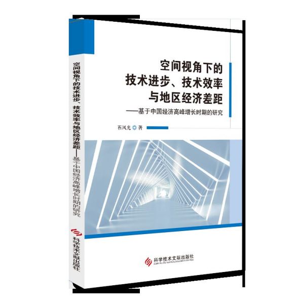 空间视角下的技术进步技术效率与地区经济差距--基于中国经济高峰增长时期的研究