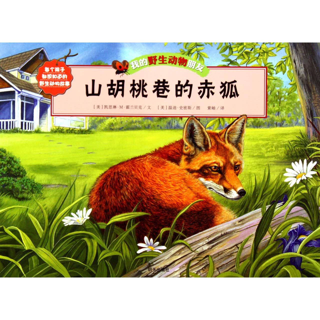 山胡桃巷的赤狐/我的野生动物朋友