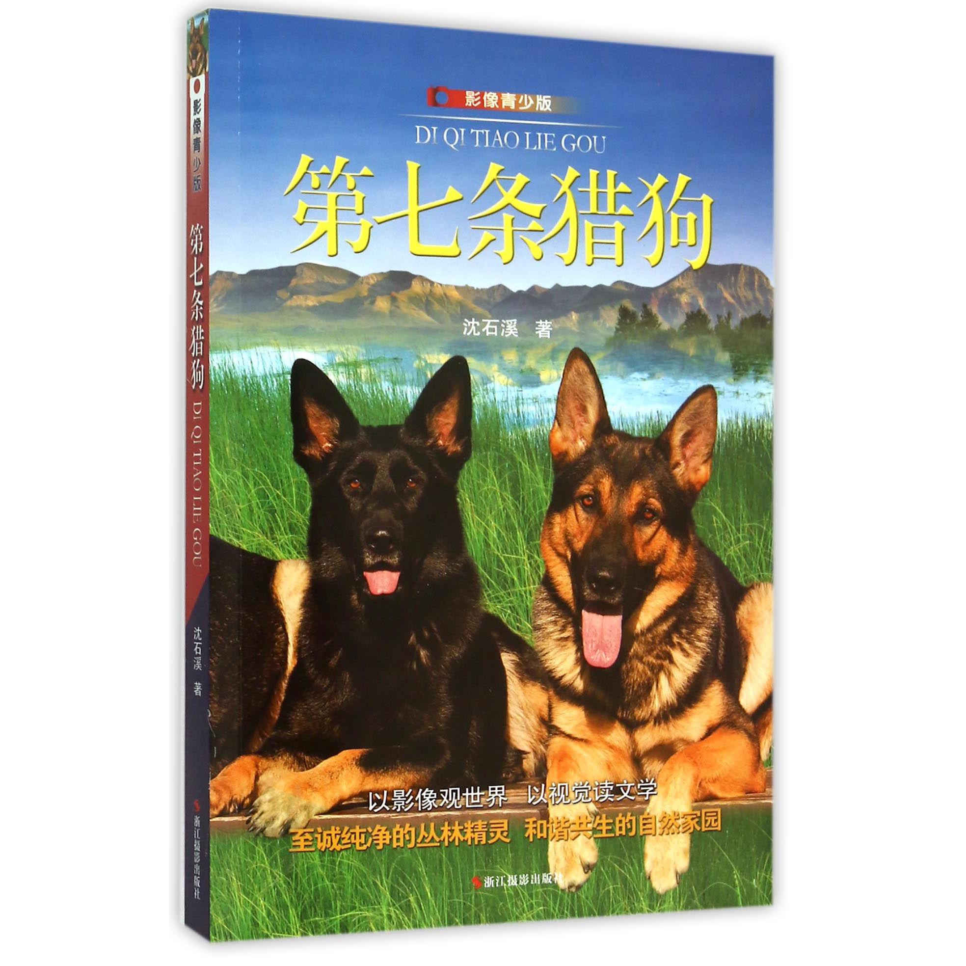 第七条猎狗(影像青少版)