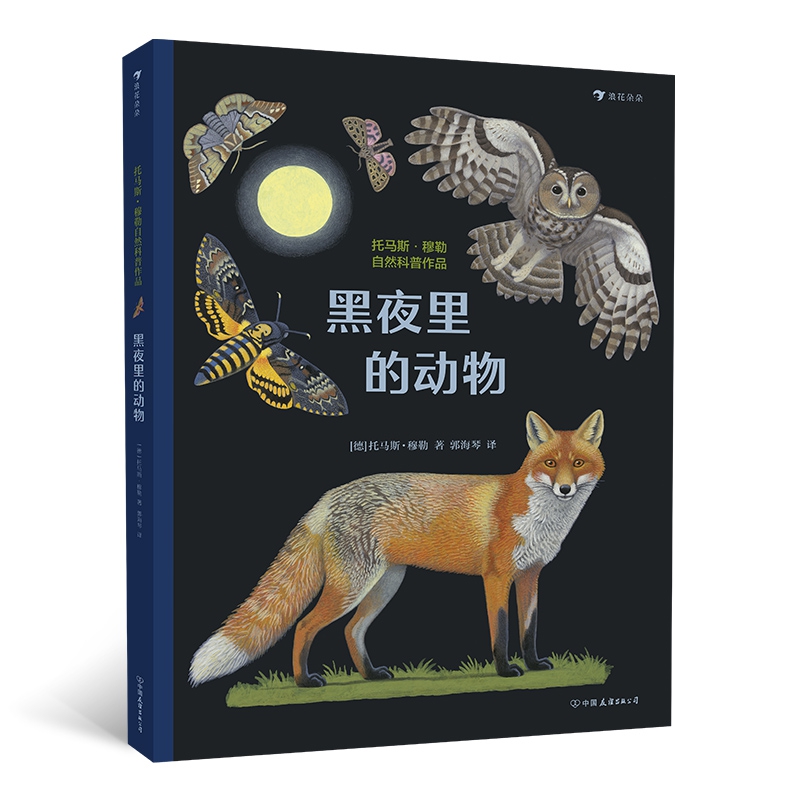 黑夜里的动物(精)
