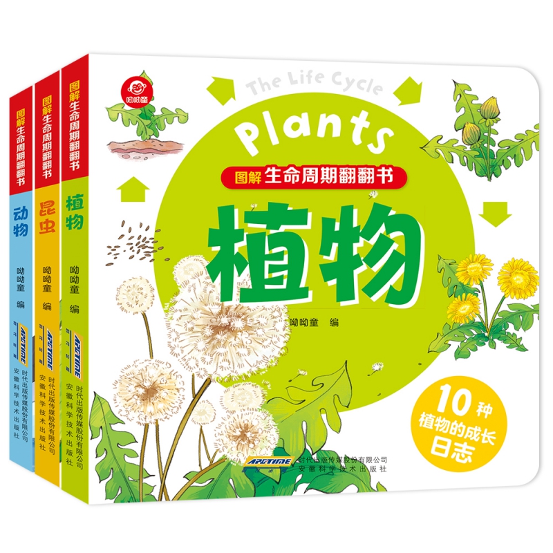 图解生命周期翻翻书系列 全3册