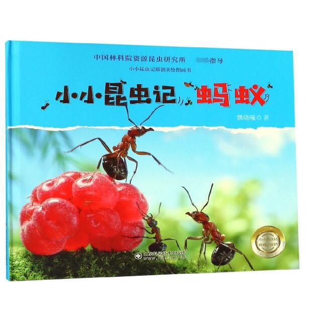 小小昆虫记(蚂蚁)(精)/小小昆虫记原创美绘图画书