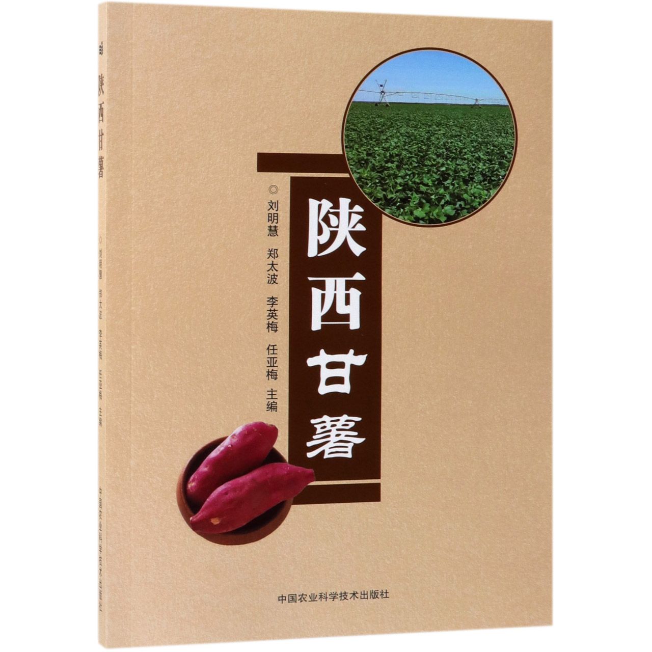 陕西甘薯