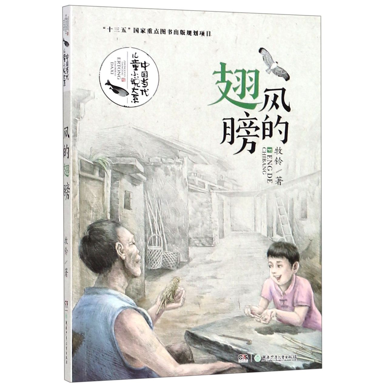 风的翅膀/中国当代儿童小说大系