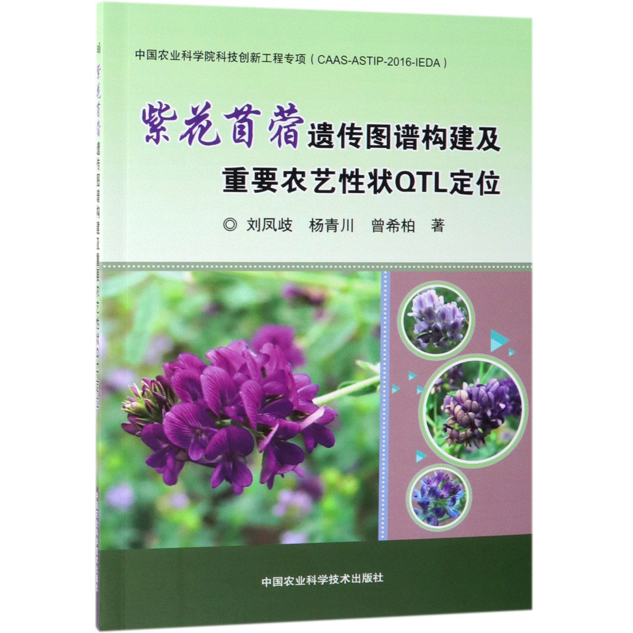 紫花苜蓿遗传图谱构建及重要农艺性状QTL定位