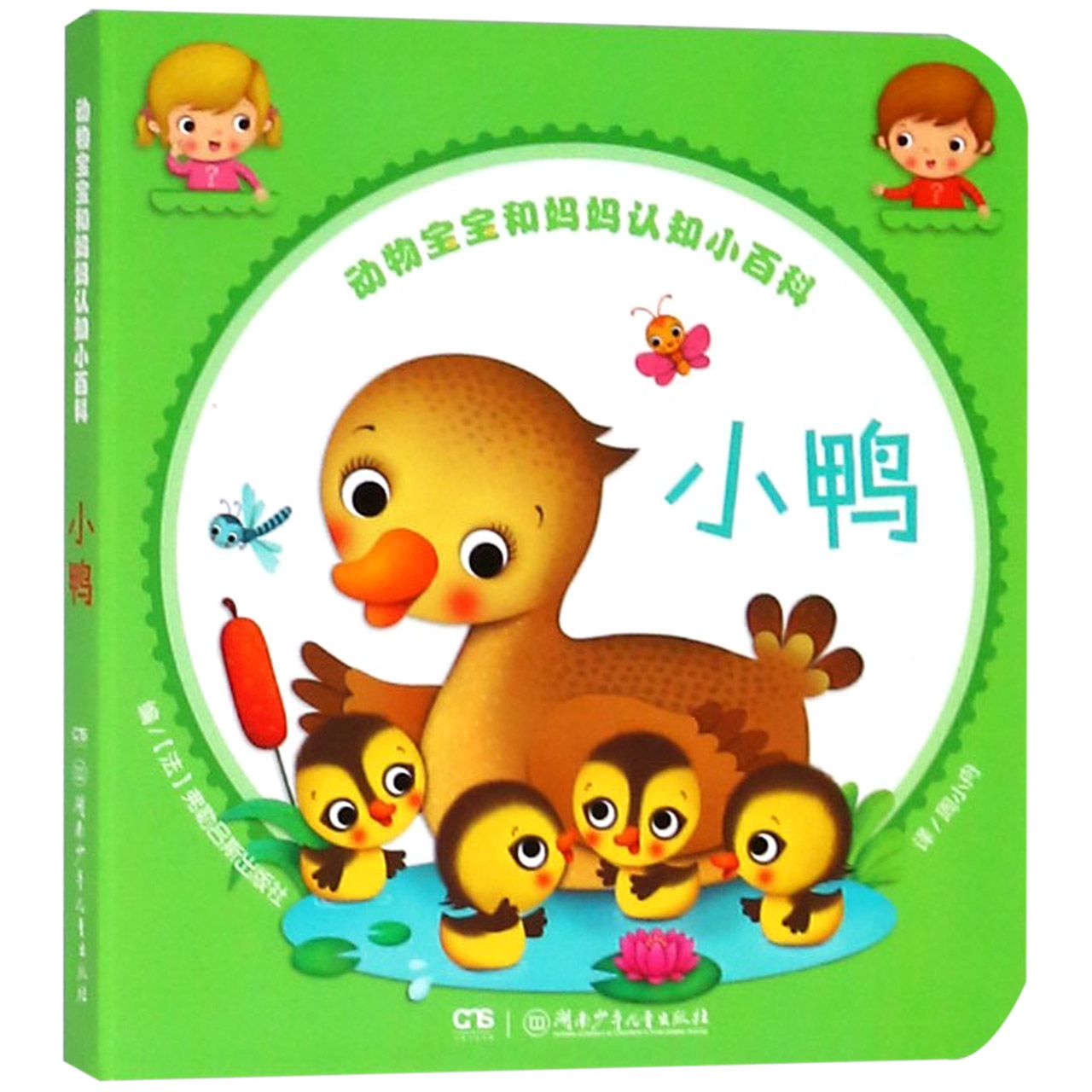 小鸭/动物宝宝和妈妈认知小百科