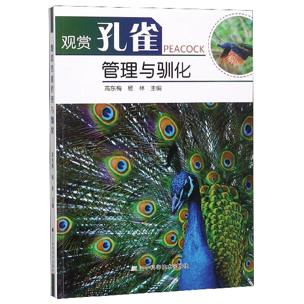 观赏孔雀管理与驯化