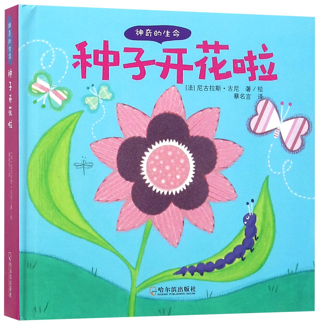 种子开花啦(精)/神奇的生命