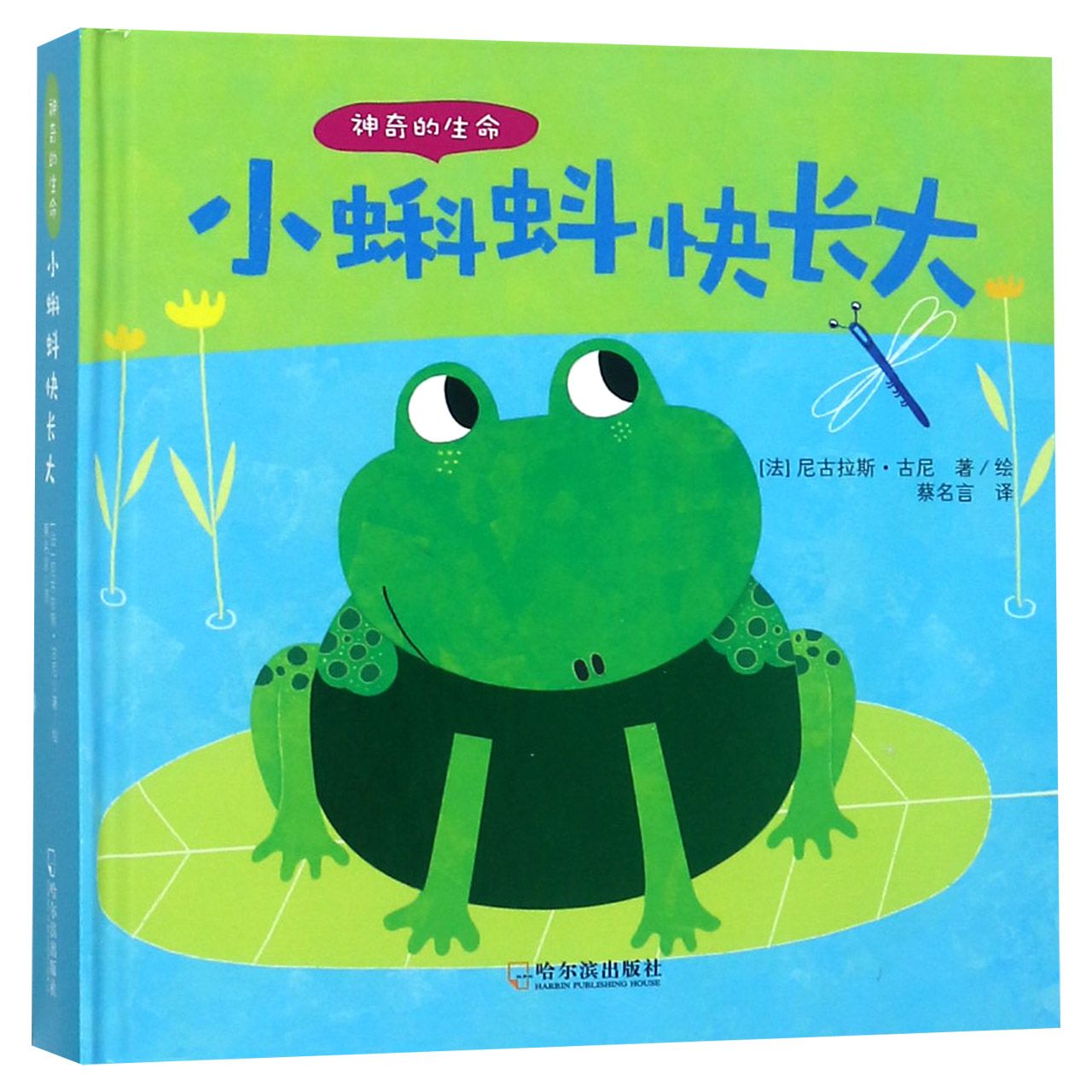 小蝌蚪快长大(精)/神奇的生命