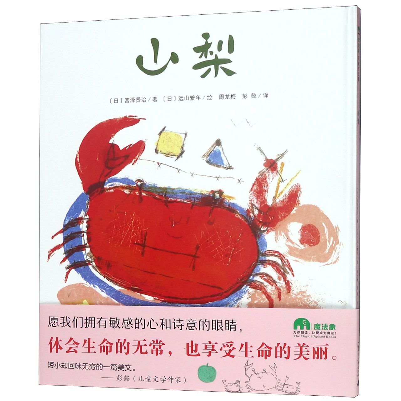 山梨(精)