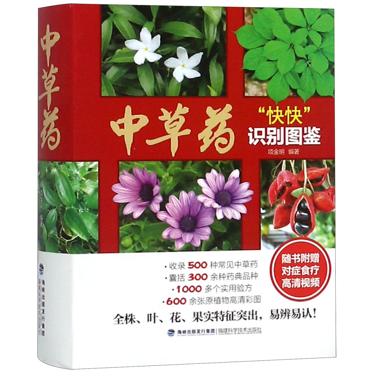 中草药快快识别图鉴(精)