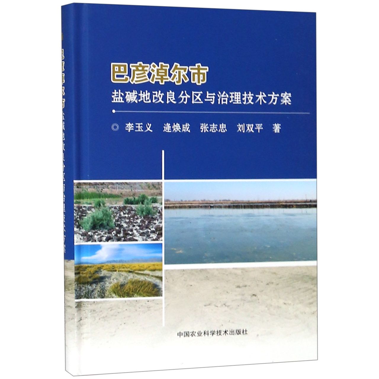 巴彦淖尔市盐碱地改良分区与治理技术方案(精)